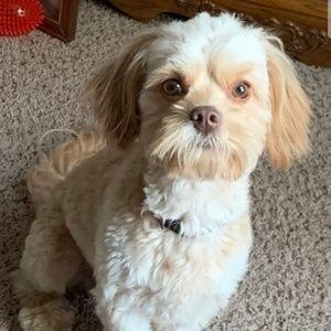 Meet your Posher, Sally